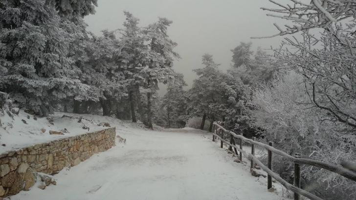 Αποκαταστάθηκε η κυκλοφορία στην Πάρνηθα